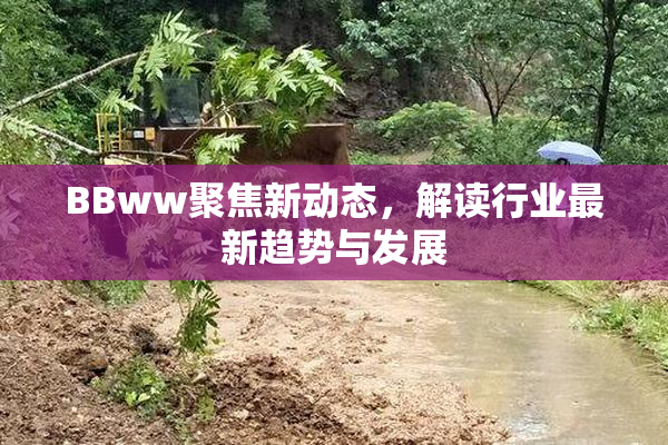BBww聚焦新动态，解读行业最新趋势与发展