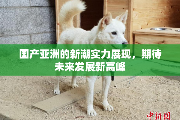 国产亚洲的新潮实力展现，期待未来发展新高峰