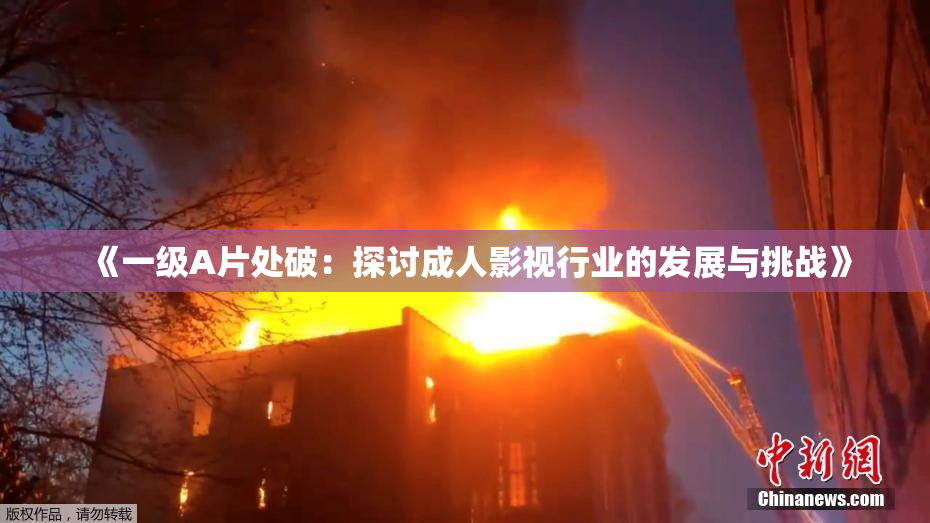 《一级A片处破：探讨成人影视行业的发展与挑战》