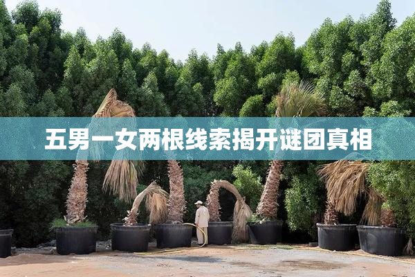 五男一女两根线索揭开谜团真相
