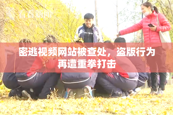 密逃视频网站被查处，盗版行为再遭重拳打击