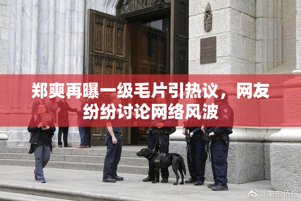 郑爽再曝一级毛片引热议，网友纷纷讨论网络风波