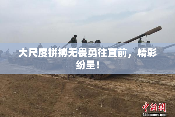 大尺度拼搏无畏勇往直前，精彩纷呈！