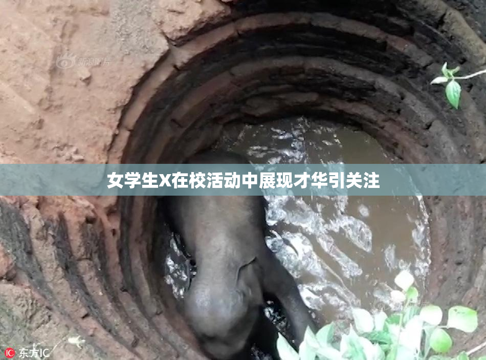女学生X在校活动中展现才华引关注