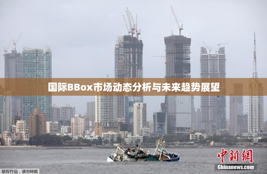 国际BBox市场动态分析与未来趋势展望