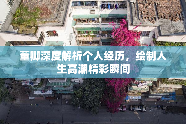 董卿深度解析个人经历，绘制人生高潮精彩瞬间