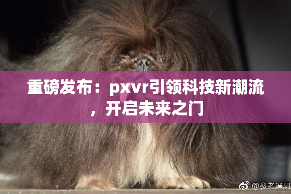 重磅发布：pxvr引领科技新潮流，开启未来之门