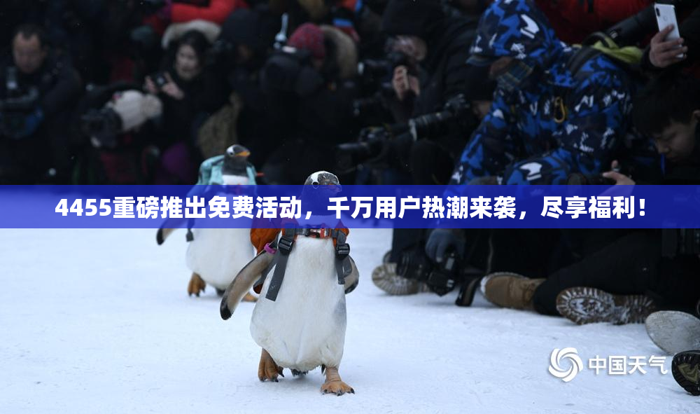 4455重磅推出免费活动，千万用户热潮来袭，尽享福利！