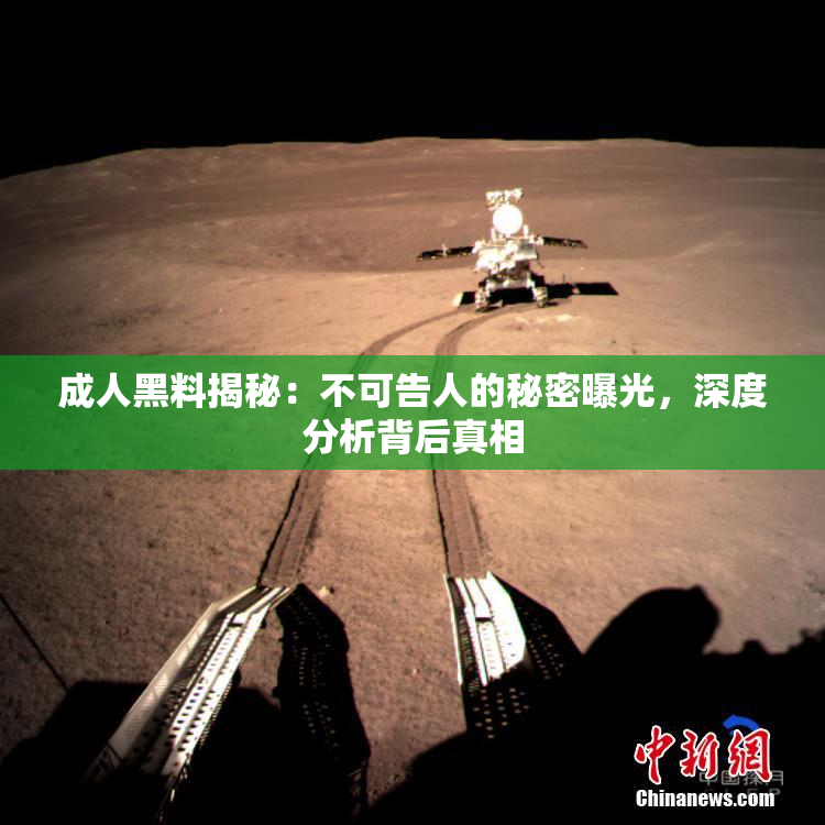 成人黑料揭秘：不可告人的秘密曝光，深度分析背后真相