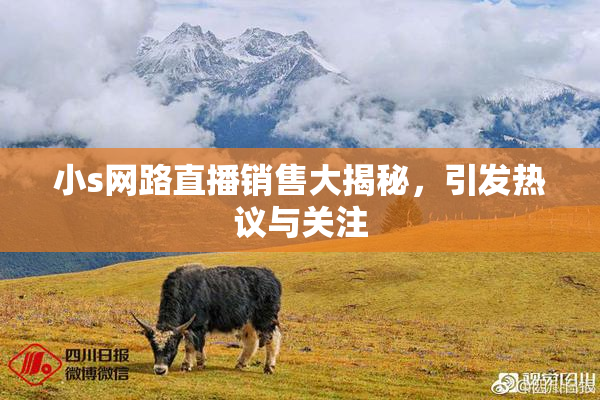 小s网路直播销售大揭秘，引发热议与关注