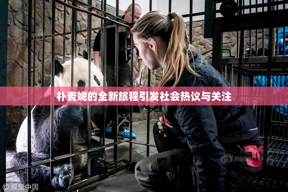 朴麦妮的全新旅程引发社会热议与关注