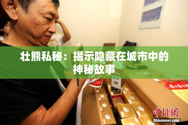 壮熊私秘：揭示隐藏在城市中的神秘故事