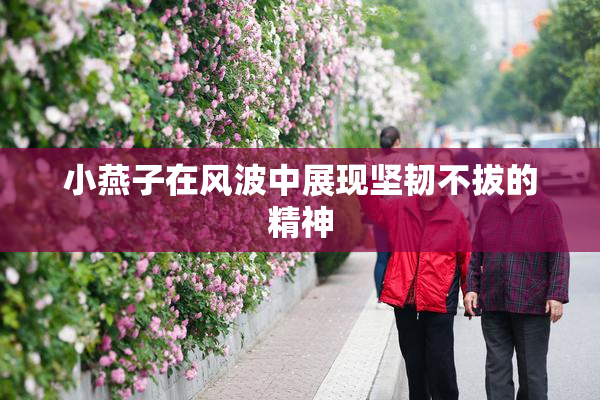 小燕子在风波中展现坚韧不拔的精神