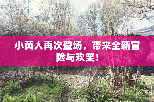 小黄人再次登场，带来全新冒险与欢笑！