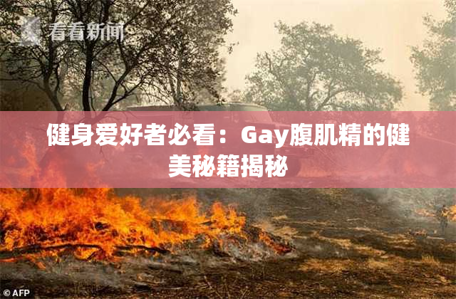 健身爱好者必看：Gay腹肌精的健美秘籍揭秘