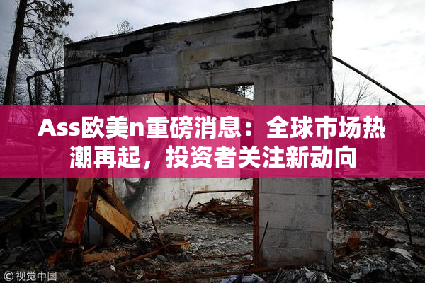 Ass欧美n重磅消息：全球市场热潮再起，投资者关注新动向