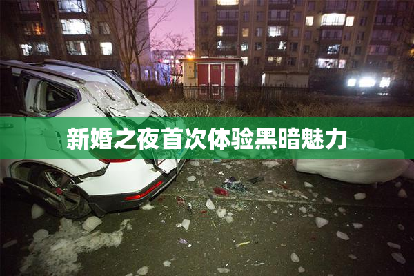 新婚之夜首次体验黑暗魅力
