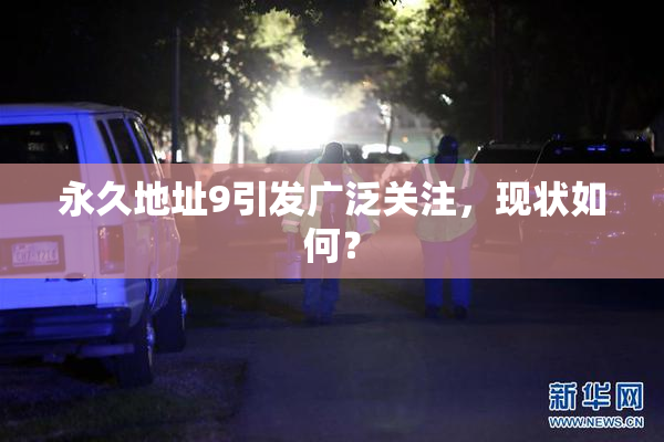 永久地址9引发广泛关注，现状如何？