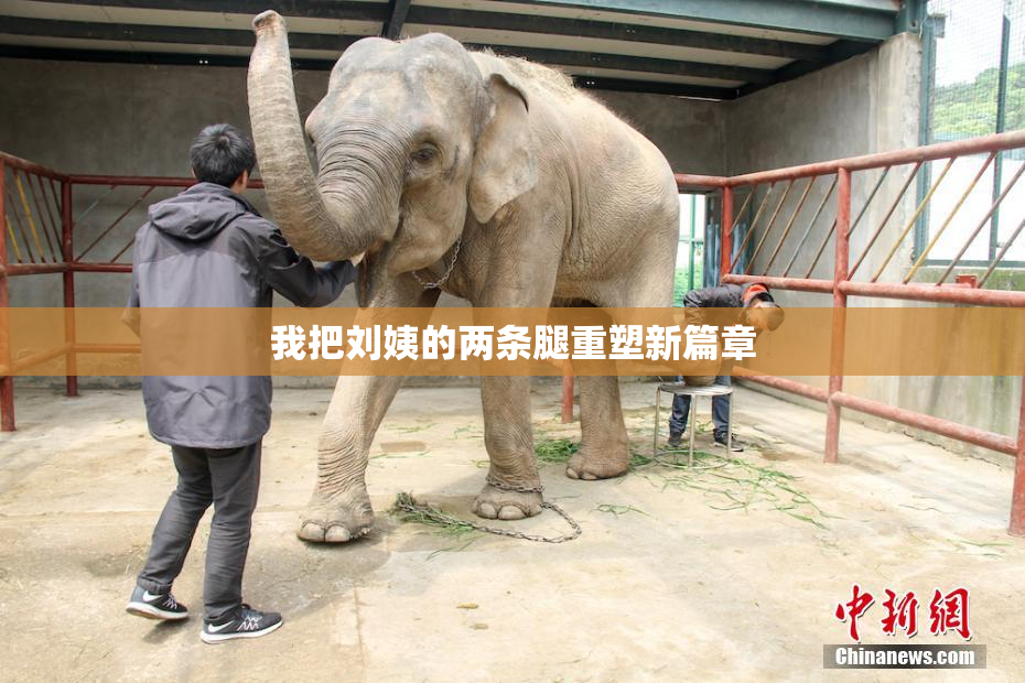 我把刘姨的两条腿重塑新篇章
