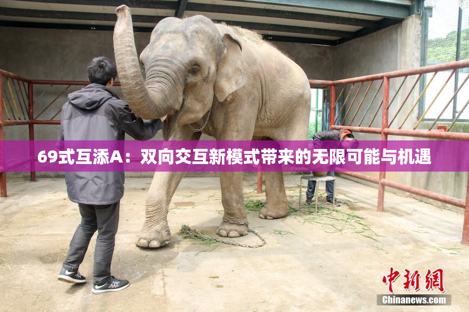 69式互添A：双向交互新模式带来的无限可能与机遇