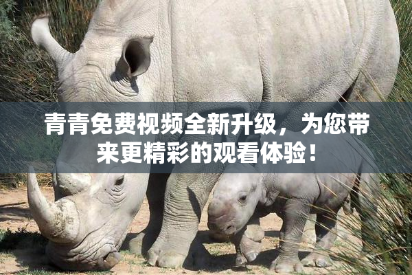 青青免费视频全新升级，为您带来更精彩的观看体验！