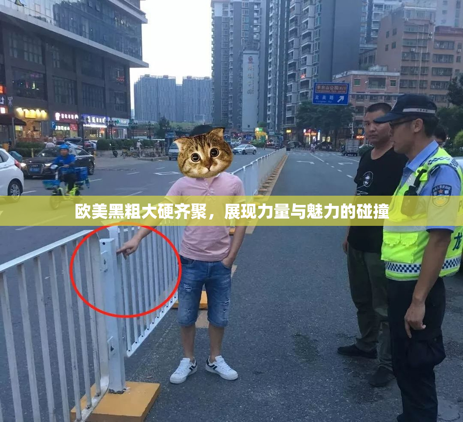 欧美黑粗大硬齐聚，展现力量与魅力的碰撞