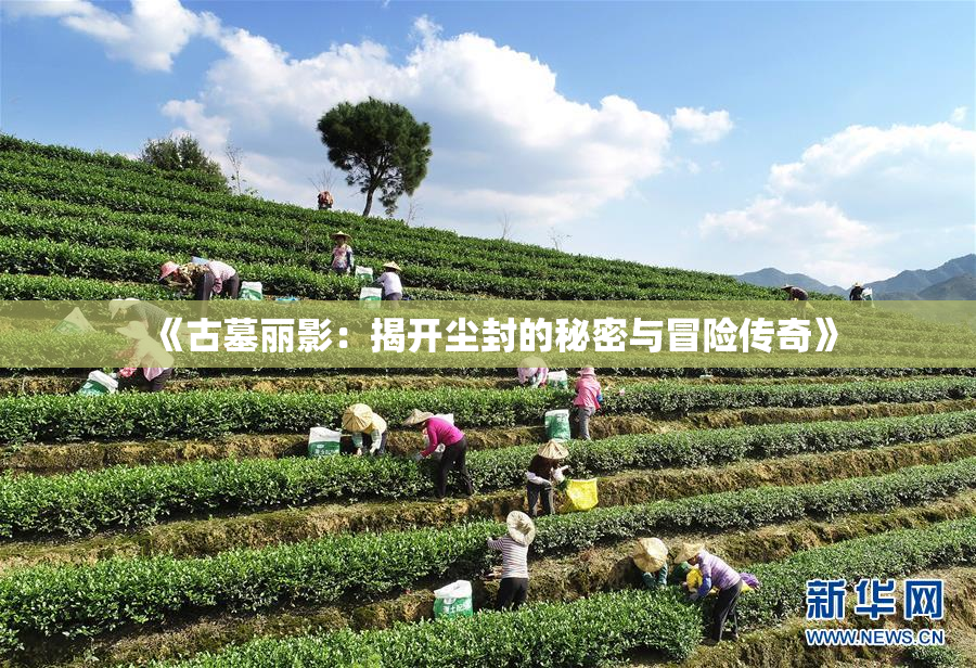 《古墓丽影：揭开尘封的秘密与冒险传奇》