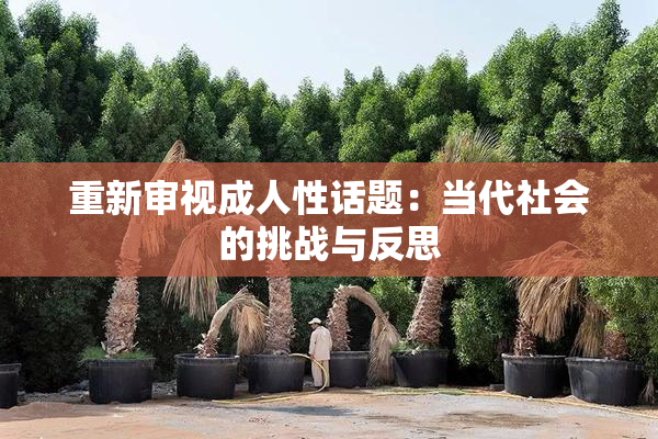 重新审视成人性话题：当代社会的挑战与反思