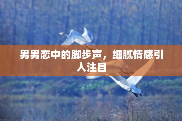 男男恋中的脚步声，细腻情感引人注目