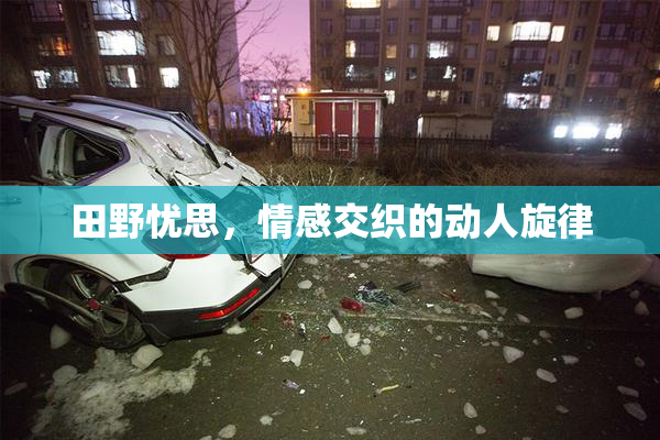 田野忧思，情感交织的动人旋律