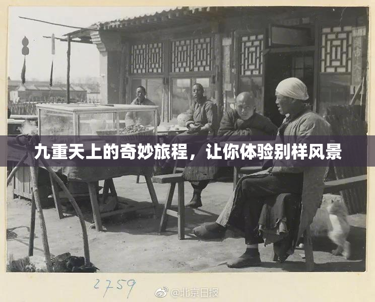 九重天上的奇妙旅程，让你体验别样风景