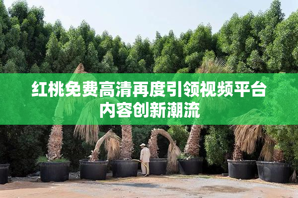 红桃免费高清再度引领视频平台内容创新潮流