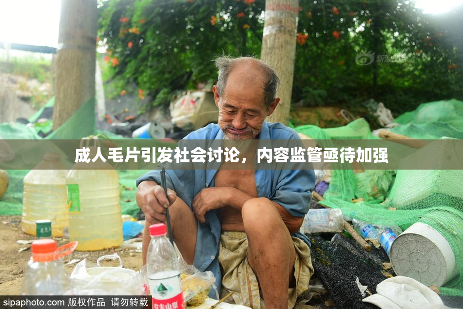 成人毛片引发社会讨论，内容监管亟待加强