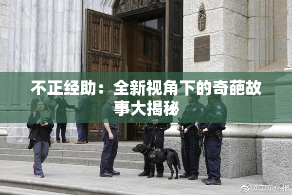 不正经助：全新视角下的奇葩故事大揭秘