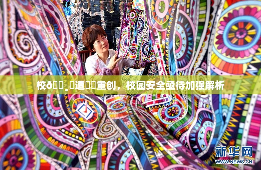 校🌸‌遭❌‌重创，校园安全亟待加强解析