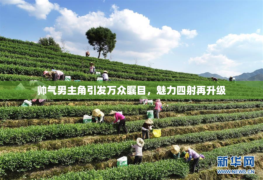 帅气男主角引发万众瞩目，魅力四射再升级