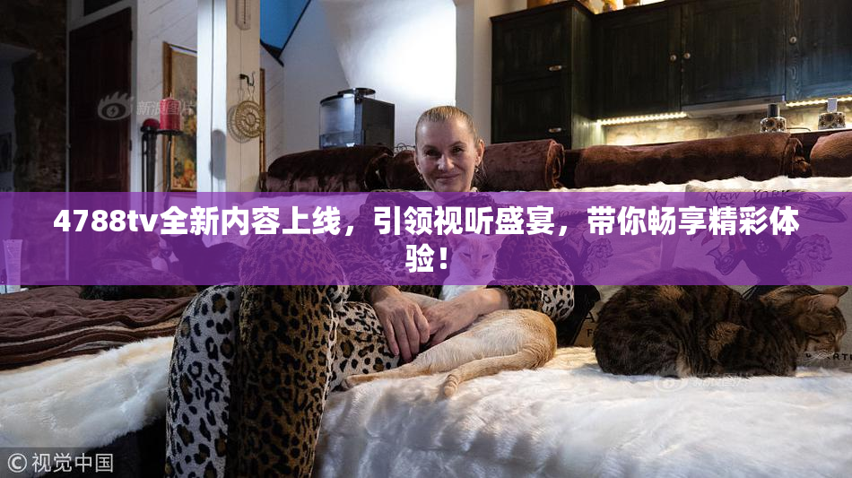 4788tv全新内容上线，引领视听盛宴，带你畅享精彩体验！