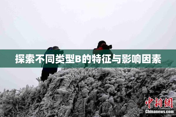 探索不同类型B的特征与影响因素