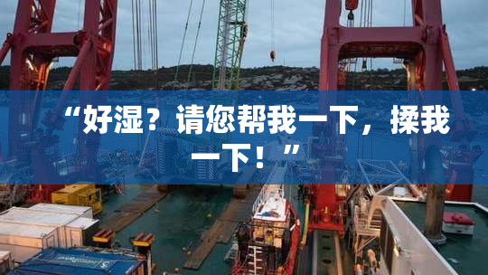 “好湿？请您帮我一下，揉我一下！”