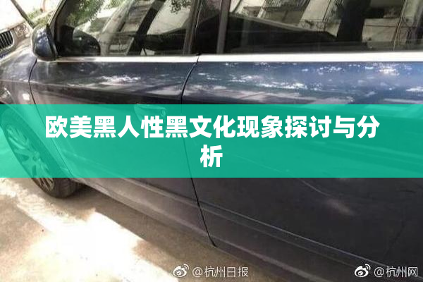 欧美黑人性黑文化现象探讨与分析