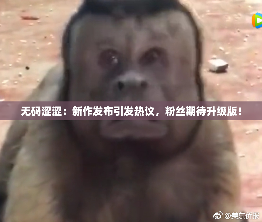 无码涩涩：新作发布引发热议，粉丝期待升级版！