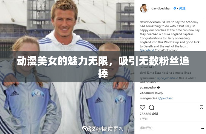 动漫美女的魅力无限，吸引无数粉丝追捧