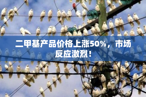 二甲基产品价格上涨50%，市场反应激烈！