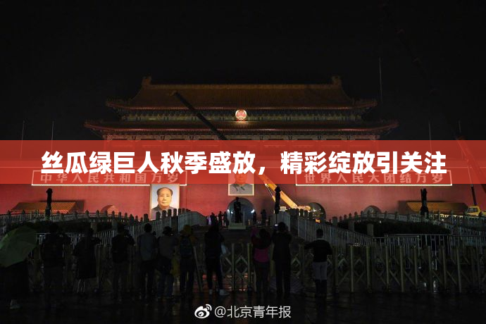 丝瓜绿巨人秋季盛放，精彩绽放引关注