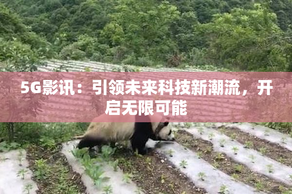 5G影讯：引领未来科技新潮流，开启无限可能