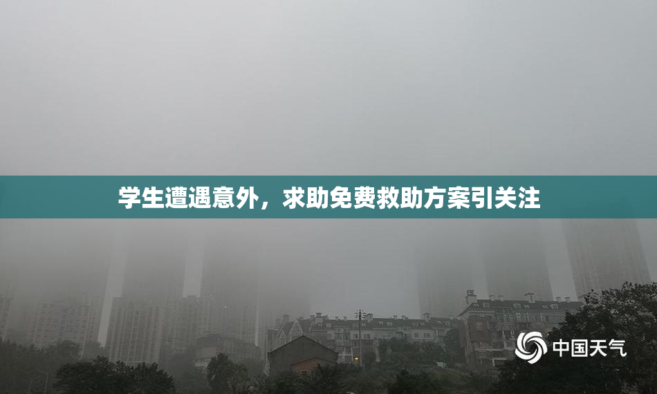 学生遭遇意外，求助免费救助方案引关注