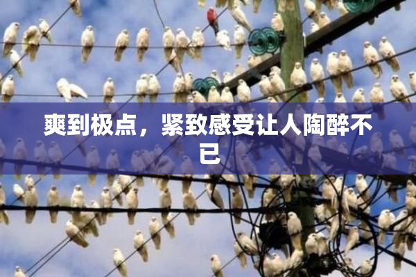 爽到极点，紧致感受让人陶醉不已