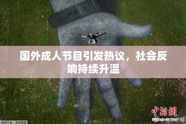 国外成人节目引发热议，社会反响持续升温