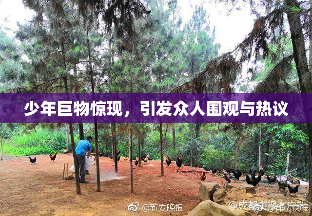 少年巨物惊现，引发众人围观与热议