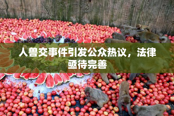 人兽交事件引发公众热议，法律亟待完善